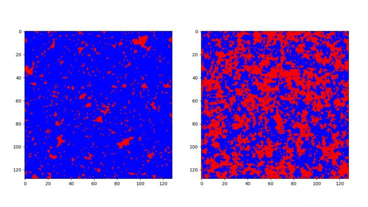 Simulations du modèle d'Ising sur le réseau carré à basse température (à gauche, phase ferromagnétique) et à haute température (à droite, phase paramagnétique)